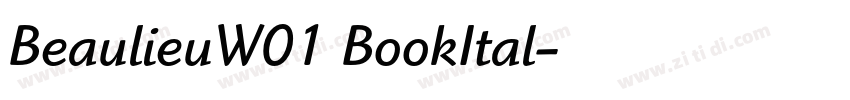 BeaulieuW01 BookItal字体转换